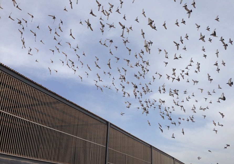 �ո����������� 801���������4�� ����ô����