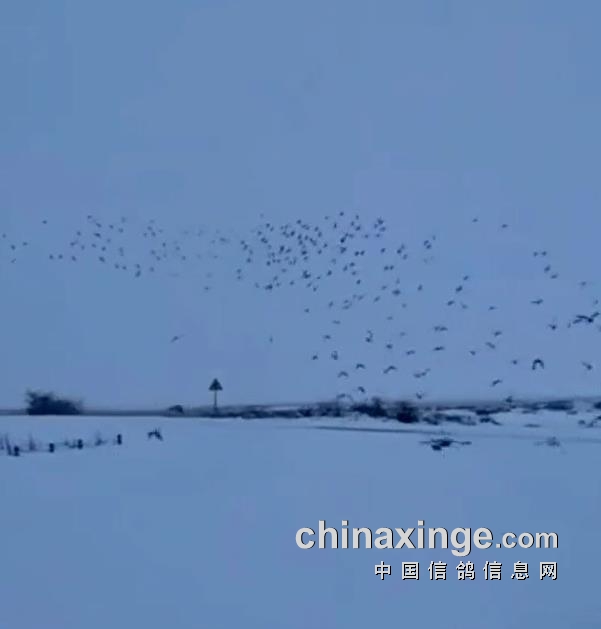 ���к�ɫ���ڼ���˭��������ף�