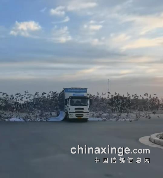 8�������� ���ܳ�Զ��Ϊ�β������ꣿ