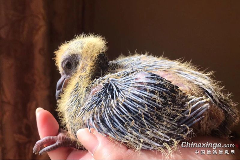 �����ѵ����ٶ�� �����ѵ��Ǹ���һ��