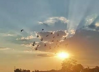 �����ѵ����ٶ�������ѵ��Ǹ���һ��