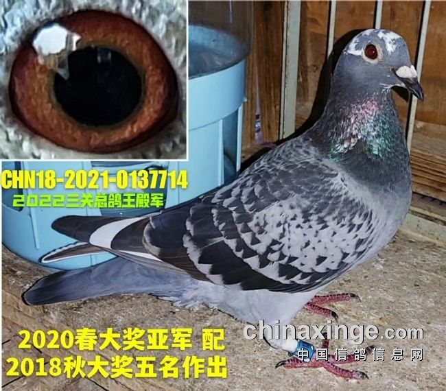 ˵˵2022�괺�����ظ����ܵ��0137714�껨��