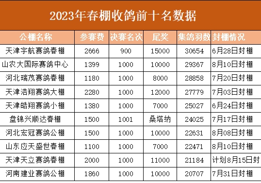 2023�괺���ո����ݴ����