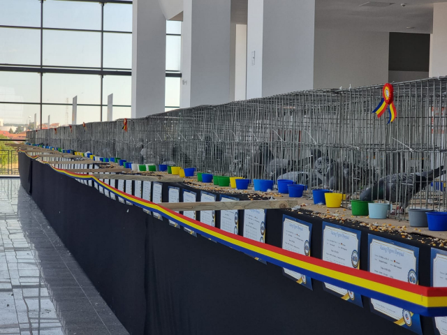 �����Ÿ����ƥ�˴�᣺900���𶥼������չ