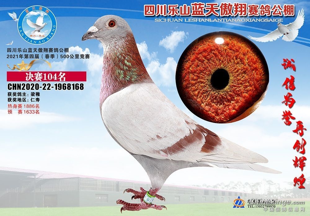 ����Ʒ������ת�����˺��޽���