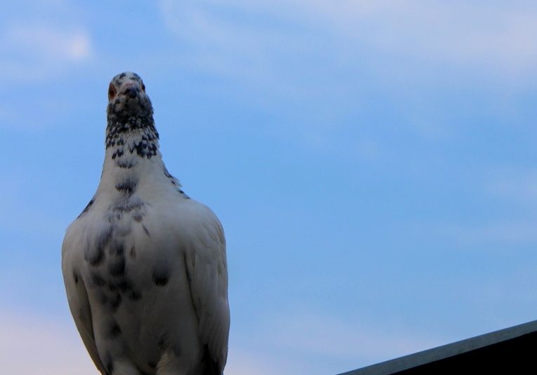 ���ۣ����ǵ����Ƶ�����ɸѡʲô���ĸ��ӣ�