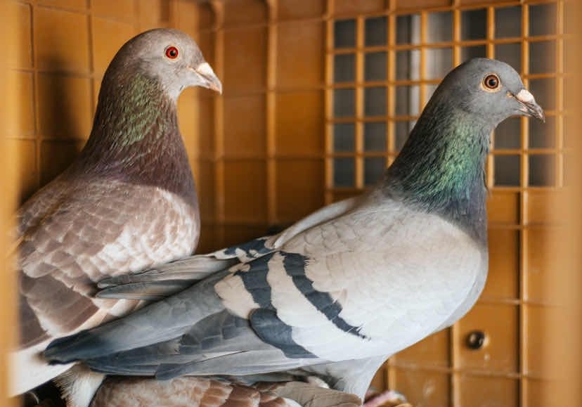 ���ۣ��߼��������˶��� ����νֵ�벻ֵ