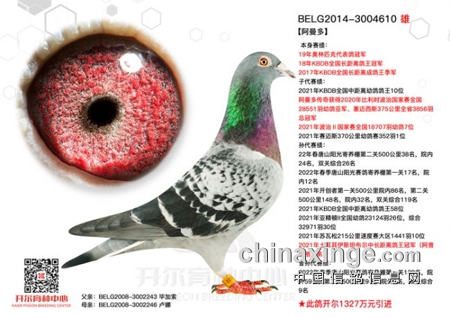 �������������Դ���