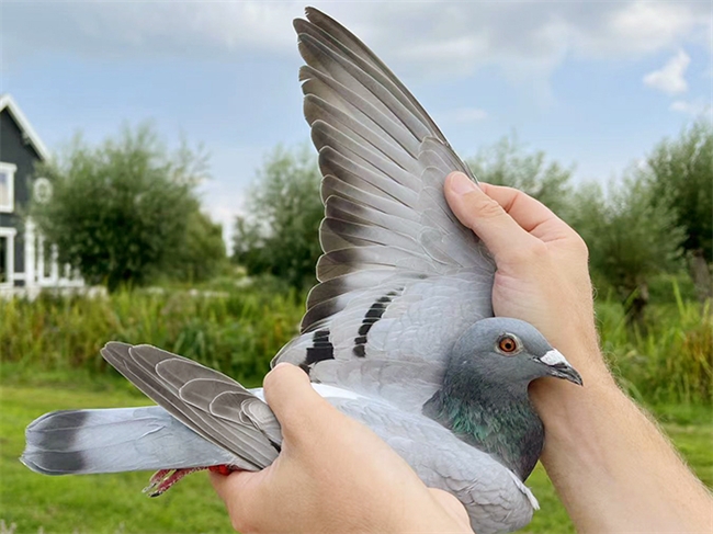 ��ƿˡ������ʡ����2���׸� ����1��2��3��4