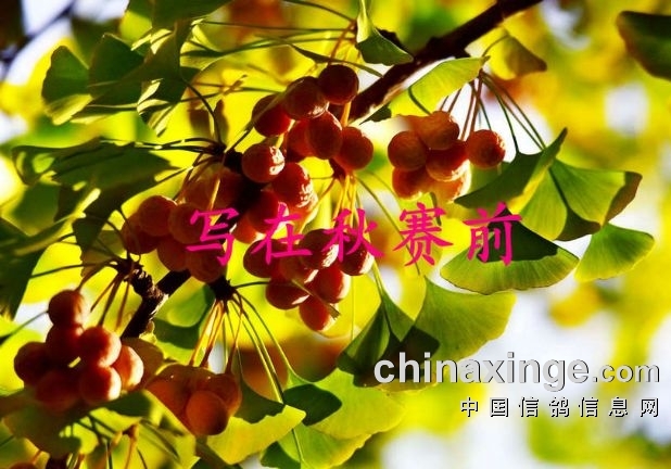 Ϊʲô�����ĸ��Ӳ�����ǰѵ��