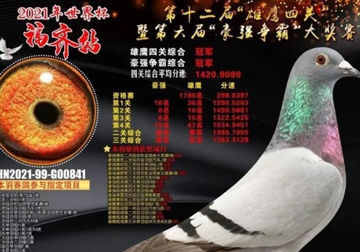 ����KBDB�����ھ�������