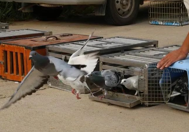 ǰ����������������·ѵ�ؾ�