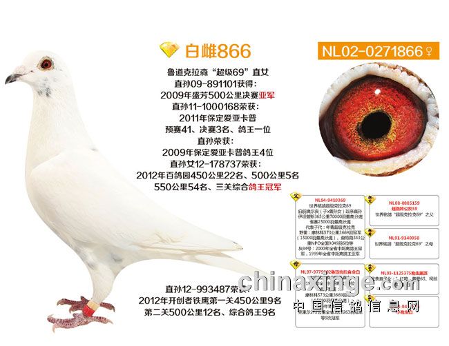 ����������� һ�ο����