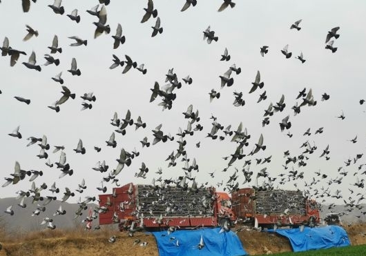 ָ������ԣ����˽���Ӯ�ң�