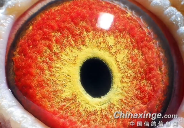 �������־���δ�ؿ��У�