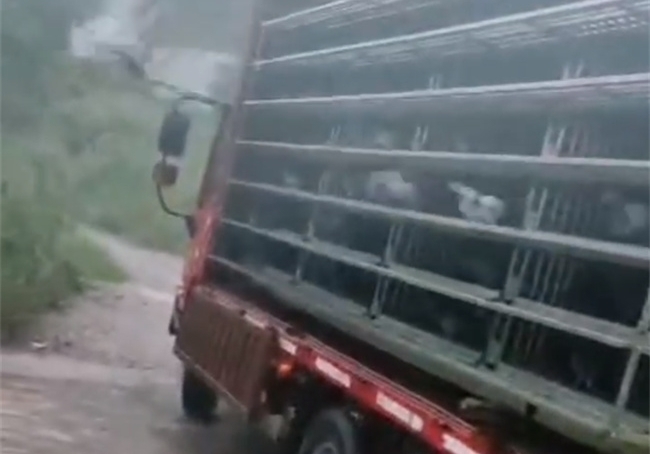 ���������衱���ǲ������Σ�