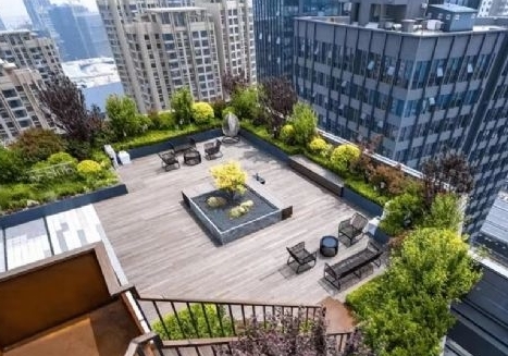 ����ʧȥ�Ÿ� �����������У�