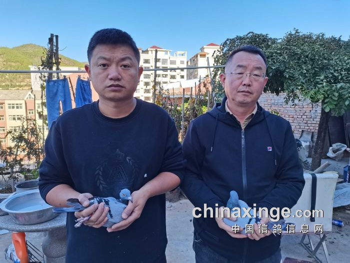 �Ϲع��Ǽ� �����ֺ�����Ǿ�