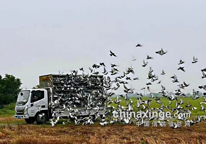 ɽ����ׯ��ҹ�и롱 ����