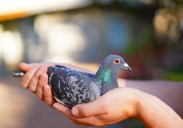 ̫����ѩ�� �ܷɸ�λ���Ǻ���