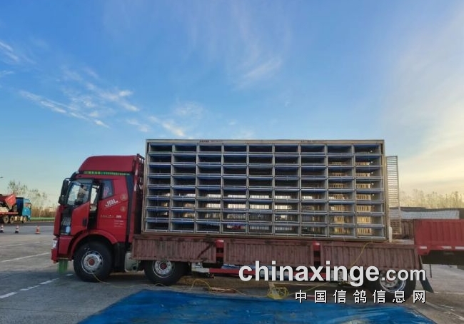 �������عھ��ɳ�1872�׸߷���