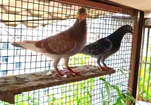 û�кø���һ�ж��ǿ�̸��