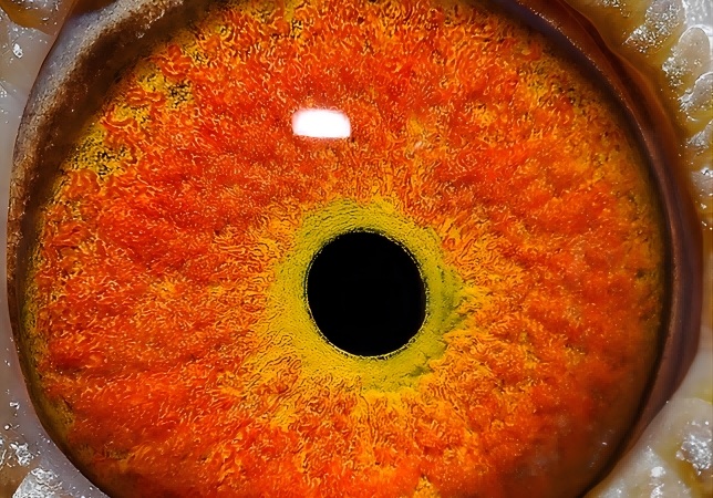 ��ֹ���� ���ּ����ļ�ǿ��