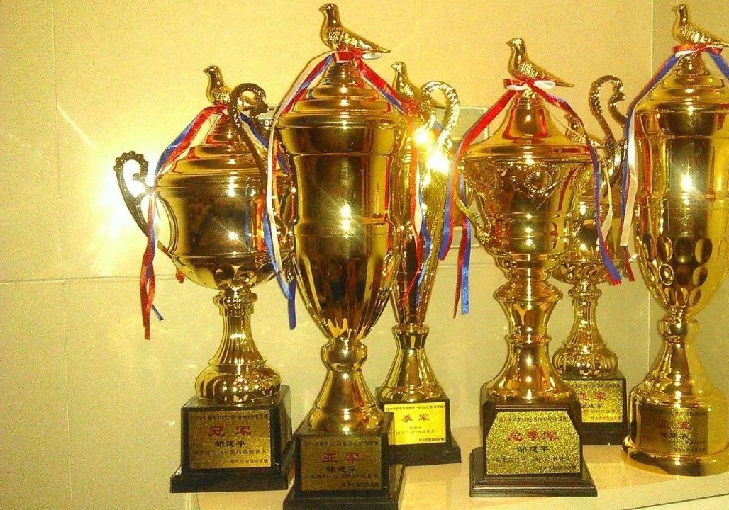 �ܾ���� ���Ѹ�λ�ɼ���ȡ��