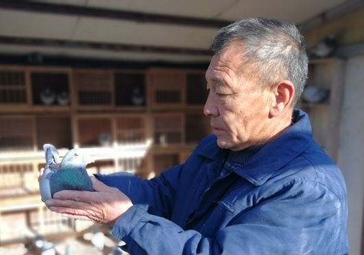 �ھ���ʾ¼ ��ʲôժ�������