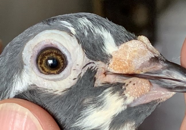 ����ȫ�����ؼ���Ծ��Զ����