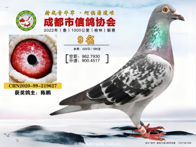 ������ʶ�ھ��𰸽�����