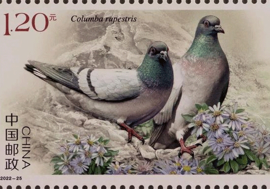 �й��������С��롷������Ʊ