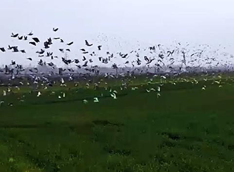 ���ﲻҪ������������