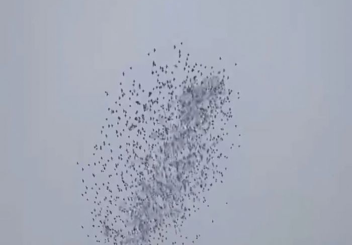 �����ೡ�رȴ���������鳲