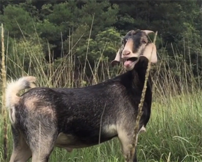 ���Ǽ���ÿ��25���ɽ����