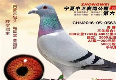 �����˰��������ĸ���