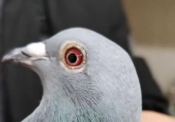 �Ϻ���һ���м�������ھ���