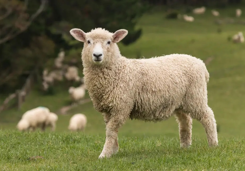 һ�˰���2-5�� ���ߴ����