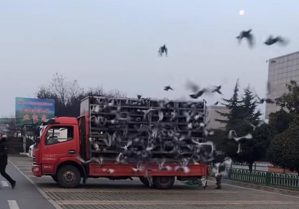 ����ǧ����ǰʮ������