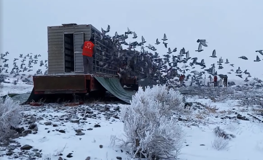 �½������ڶ�������20�濪��