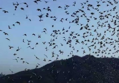 ��������Զ��ǧ����