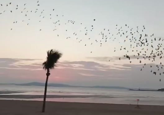 ����ǧ������ٹ鳲 �ھ�����