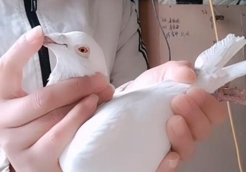 ����ǧ���� �׸�ս���ѹ�����