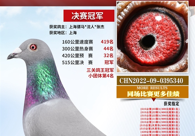 һ�𿴽��㻦�ھ�����