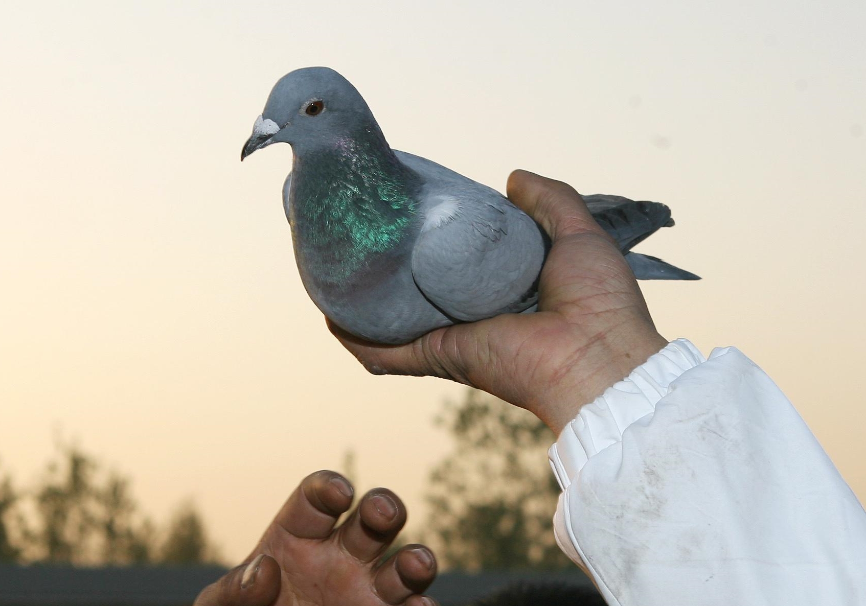 2022ǧ����ھ��̵�