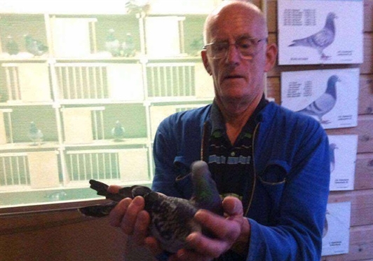 ���������ָ� ���ѡ��