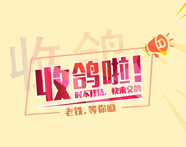 2023����������ո��ս