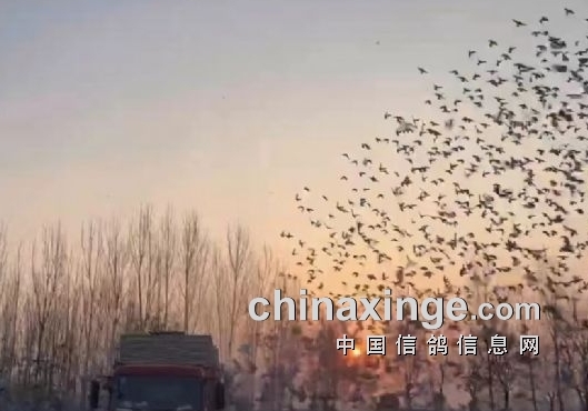 ����������������ͬ������