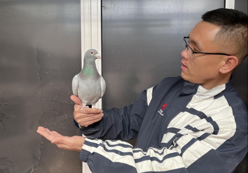 ���أ��������ƽ������뾭