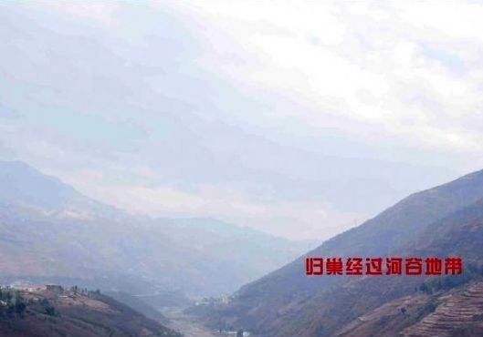 �����׳�����Ԥ�����չ��ĳ�